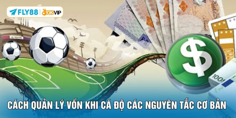 Cách quản lý vốn khi cá độ các nguyên tắc cơ bản