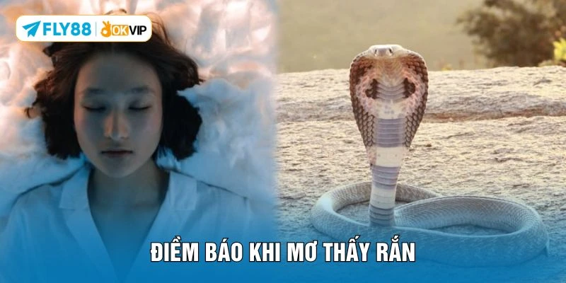 Điềm báo khi mơ thấy rắn