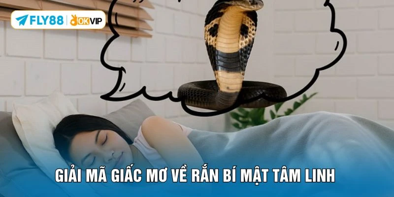 Giải mã giấc mơ về rắn bí mật tâm linh
