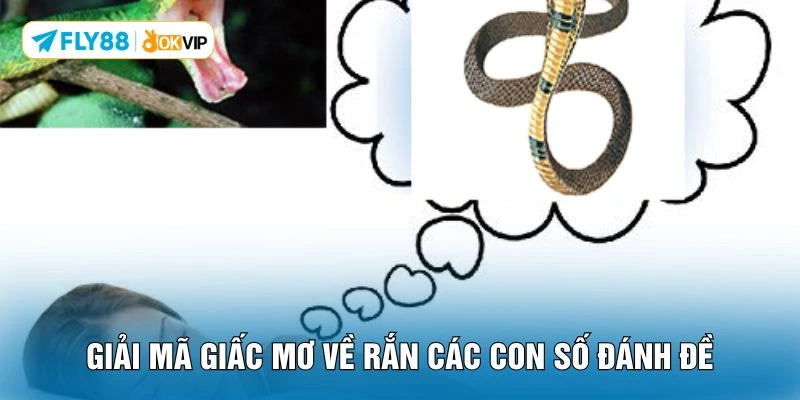 Giải mã giấc mơ về rắn các con số đánh đề